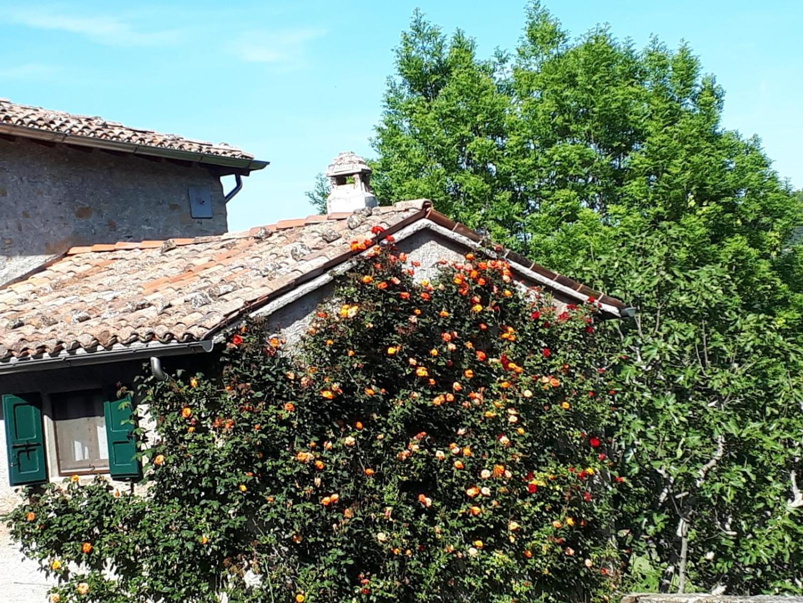 La Corte Bonomini Bed & Breakfast Neviano degli Arduini ภายนอก รูปภาพ