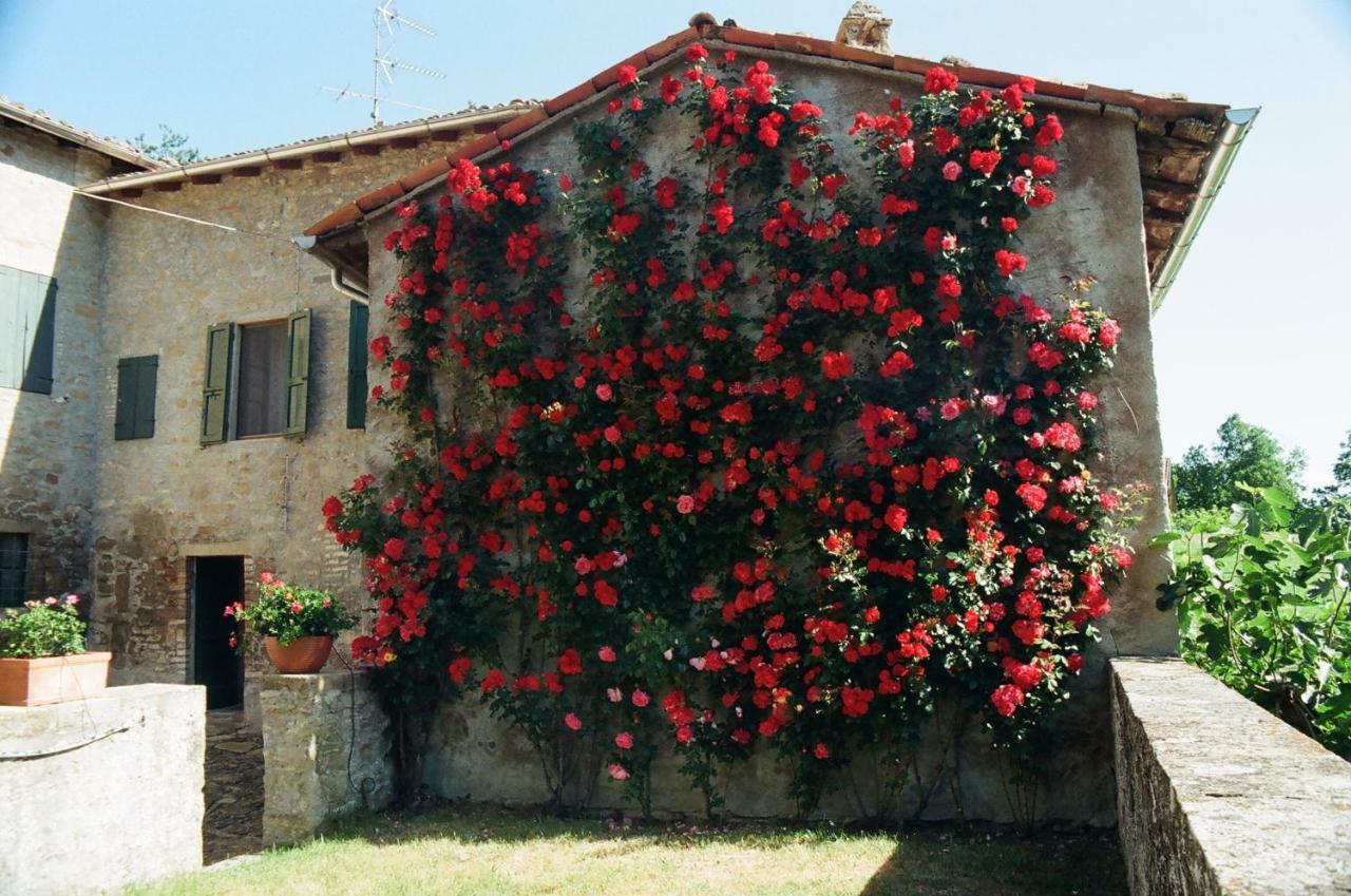 La Corte Bonomini Bed & Breakfast Neviano degli Arduini ภายนอก รูปภาพ