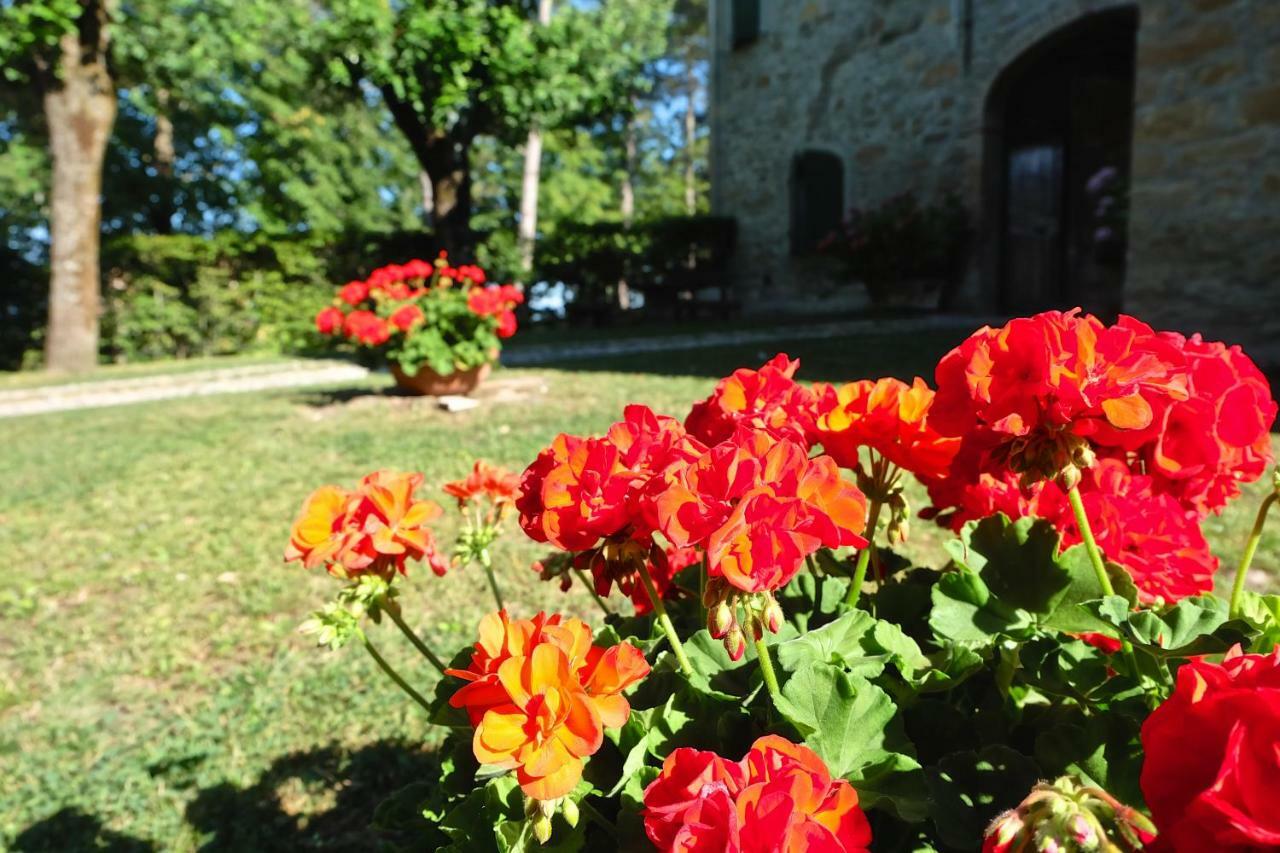 La Corte Bonomini Bed & Breakfast Neviano degli Arduini ภายนอก รูปภาพ